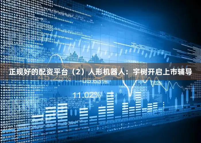 正规好的配资平台（2）人形机器人：宇树开启上市辅导